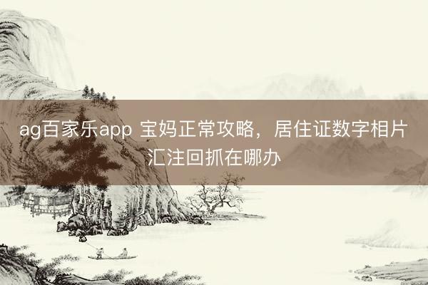 ag百家乐app 宝妈正常攻略,居住证数字相片汇注回抓在哪办