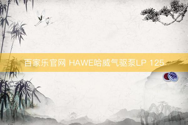 百家乐官网 HAWE哈威气驱泵LP 125
