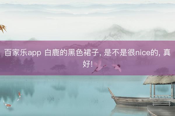 百家乐app 白鹿的黑色裙子， 是不是很nice的， 真好!