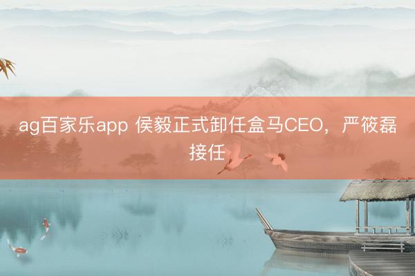 ag百家乐app 侯毅正式卸任盒马CEO，严筱磊接任