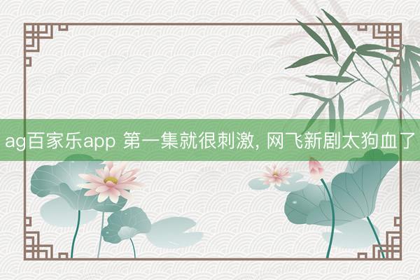 ag百家乐app 第一集就很刺激， 网飞新剧太狗血了