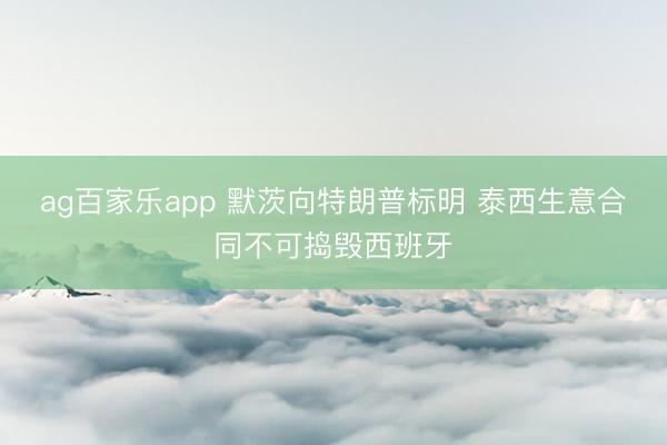 ag百家乐app 默茨向特朗普标明 泰西生意合同不可捣毁西班牙
