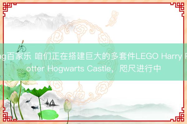 ag百家乐 咱们正在搭建巨大的多套件LEGO Harry Potter Hogwarts Castle，咫尺进行中