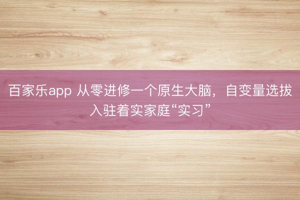 百家乐app 从零进修一个原生大脑，自变量选拔入驻着实家庭“实习”