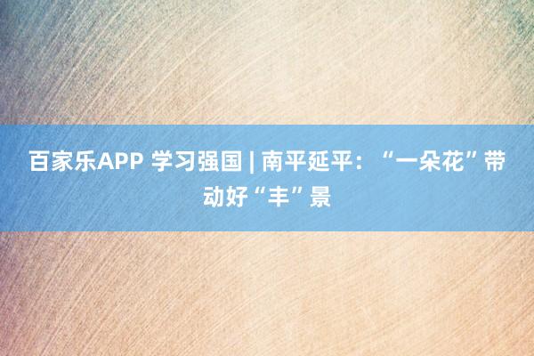 百家乐APP 学习强国 | 南平延平：“一朵花”带动好“丰”景