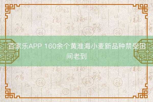 百家乐APP 160余个黄淮海小麦新品种禁受田间老到