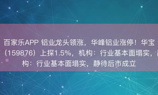 百家乐APP 铝业龙头领涨,华峰铝业涨停!华宝基金有色ETF(159876)上探1.5%,机构:行业基本面塌实,静待后市成立