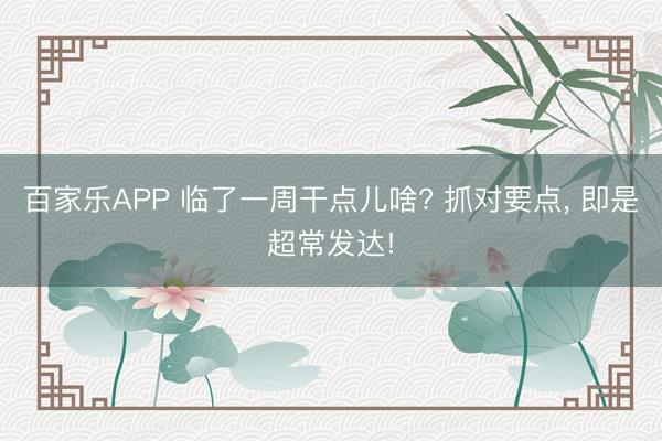 百家乐APP 临了一周干点儿啥? 抓对要点, 即是超常发达!