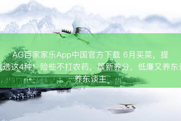 AG百家家乐App中国官方下载 6月买菜,提倡就选这4种!险些不打农药,簇新养分,低廉又养东谈主